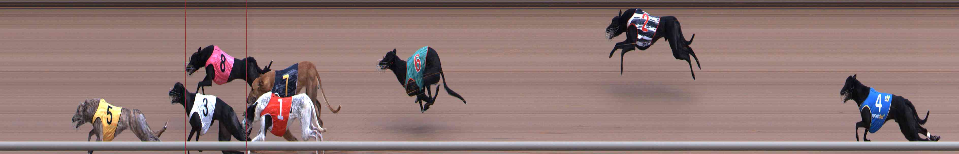 Photo finish for Healesville Race 3