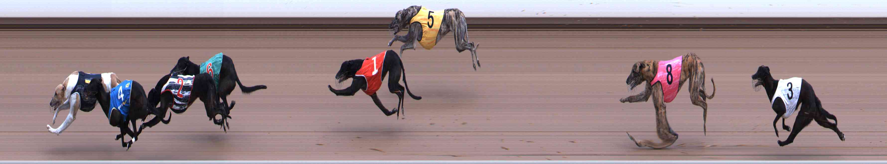 Photo finish for Healesville Race 4