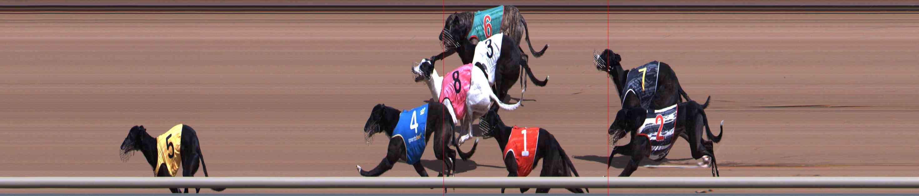 Photo finish for Healesville Race 5