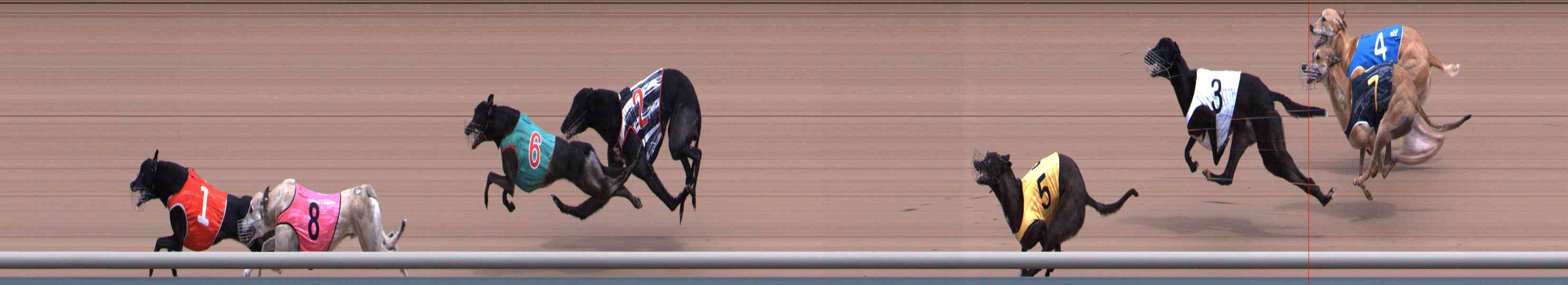 Photo finish for Healesville Race 7