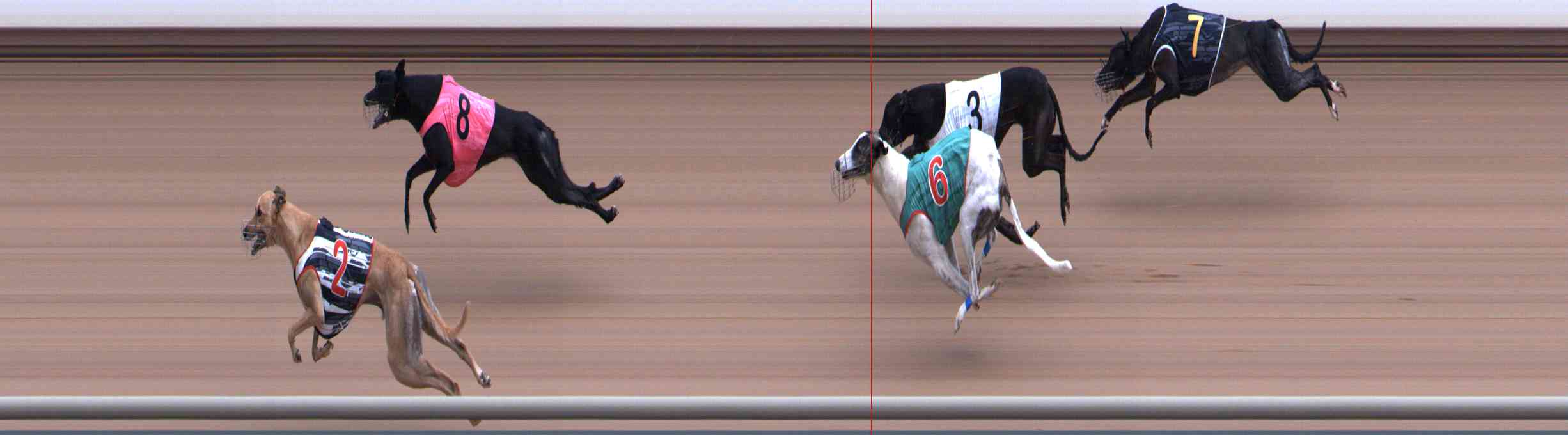 Photo finish for Healesville Race 8