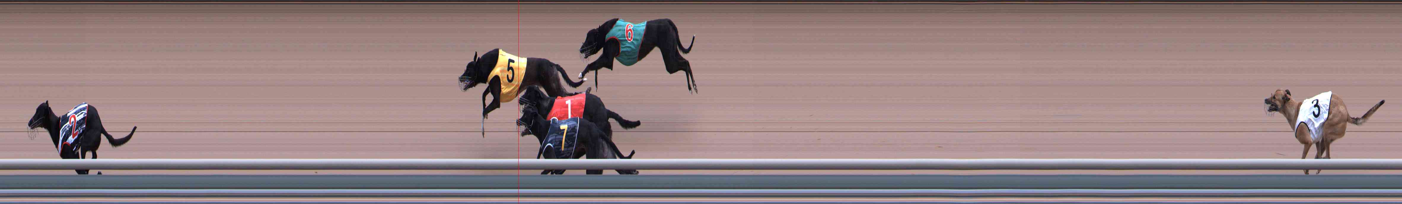 Photo finish for Healesville Race 9