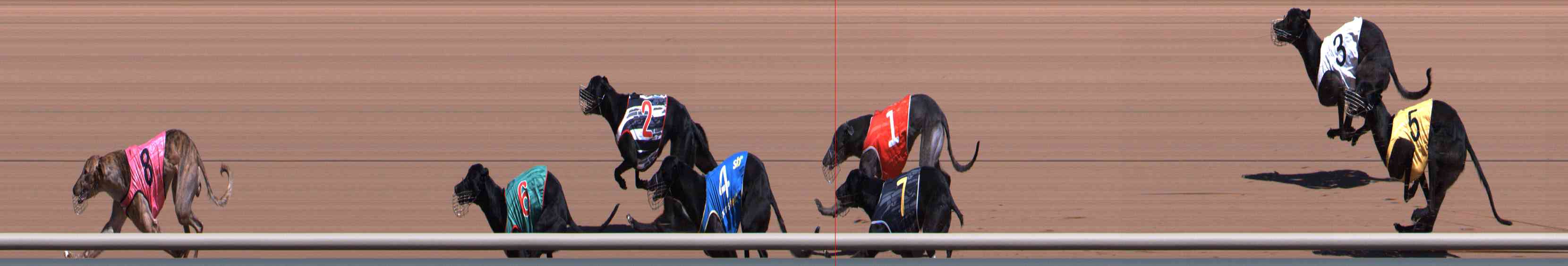 Photo finish for Healesville Race 2