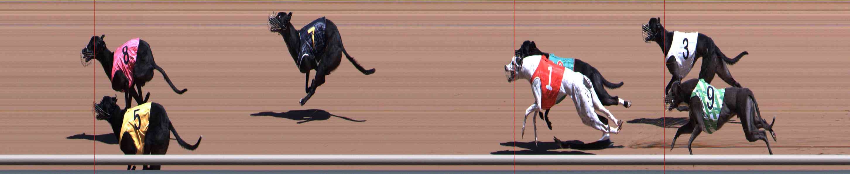 Photo finish for Healesville Race 3