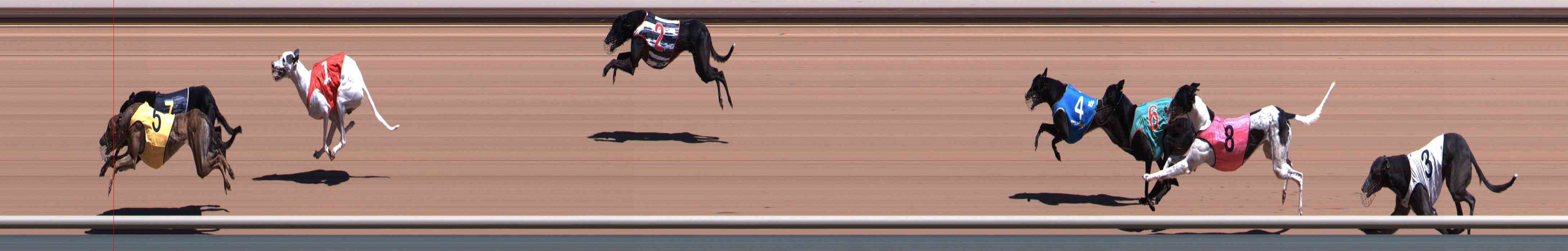 Photo finish for Healesville Race 4