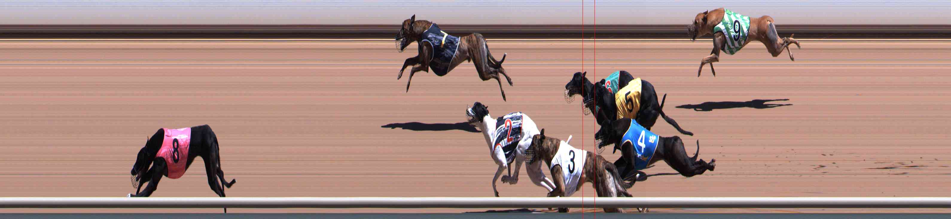 Photo finish for Healesville Race 5
