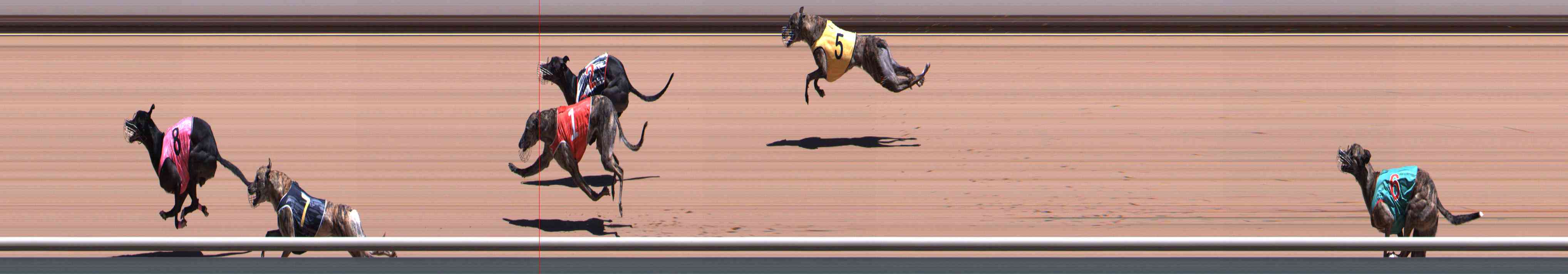 Photo finish for Healesville Race 6