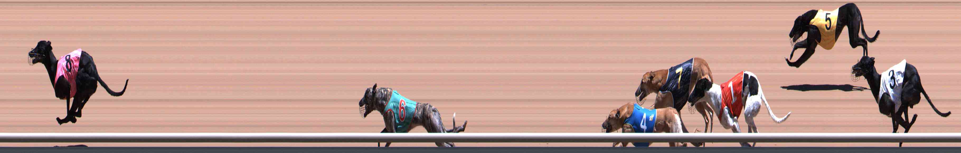 Photo finish for Healesville Race 7