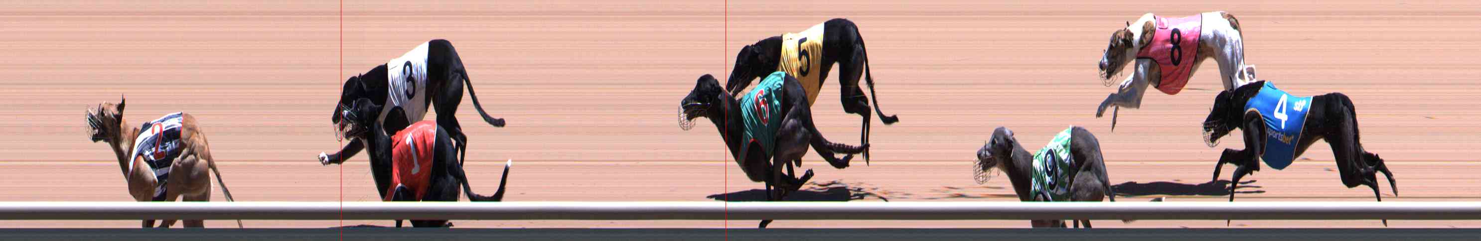 Photo finish for Healesville Race 8