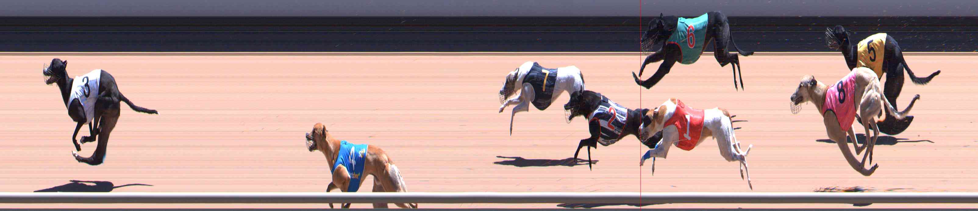 Photo finish for Healesville Race 10