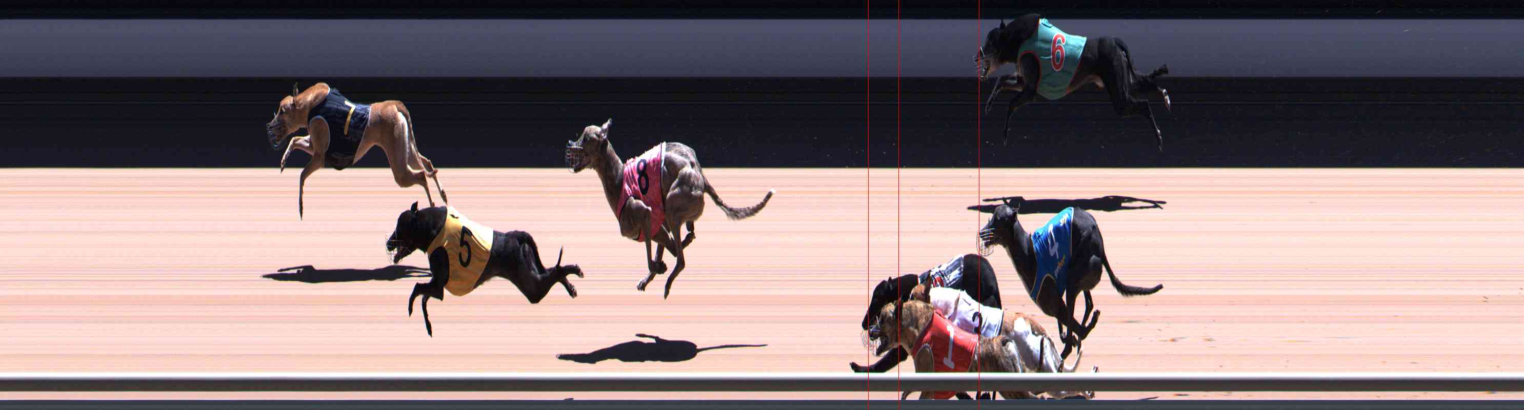 Photo finish for Healesville Race 12