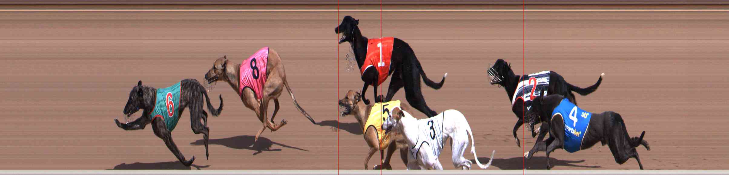Photo finish for Healesville Race 1