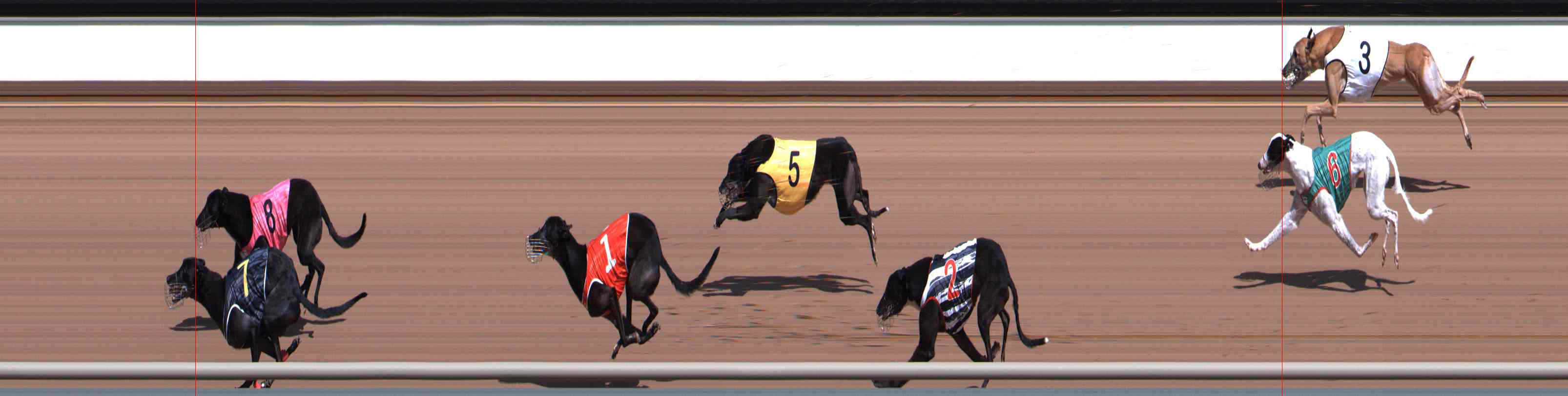 Photo finish for Healesville Race 2