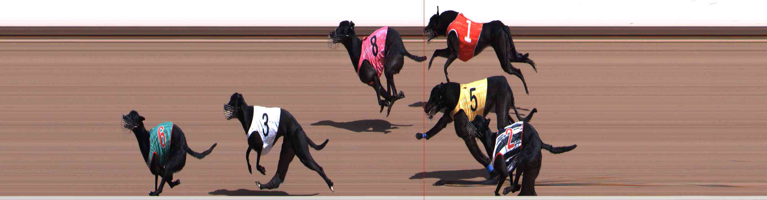 Photo finish for Healesville Race 3