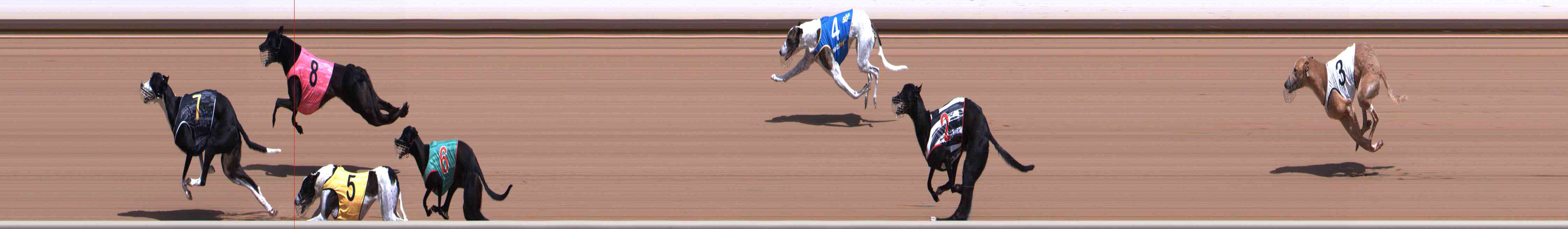 Photo finish for Healesville Race 4