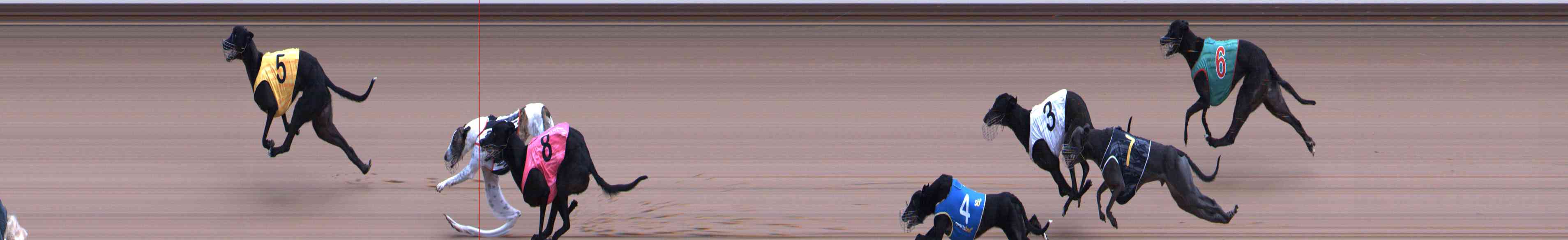 Photo finish for Healesville Race 6