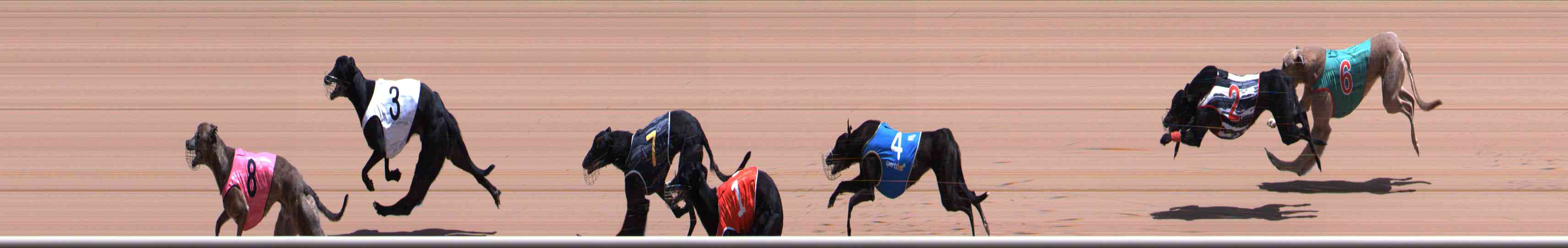 Photo finish for Healesville Race 8