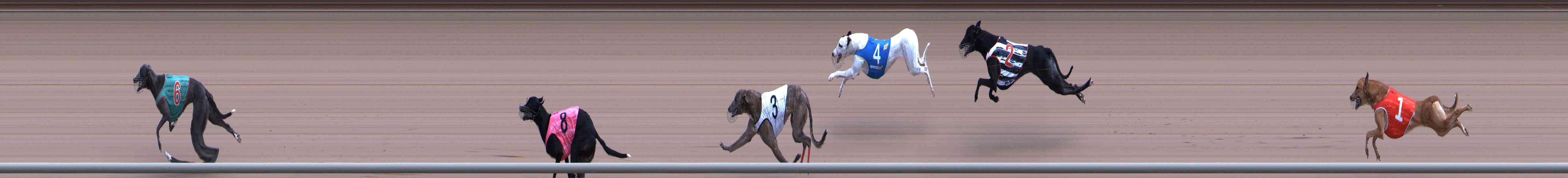 Photo finish for Healesville Race 9