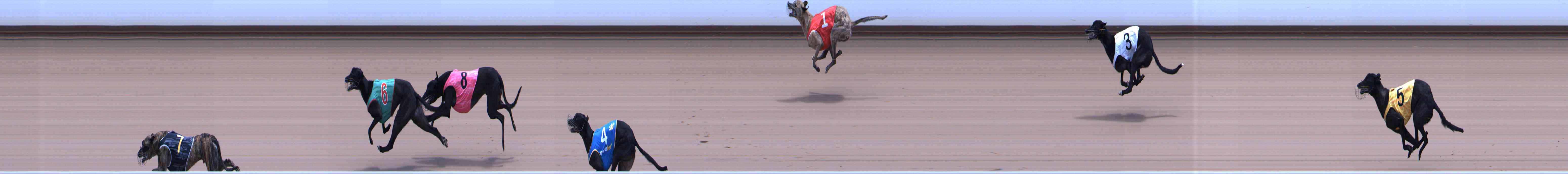 Photo finish for Healesville Race 10