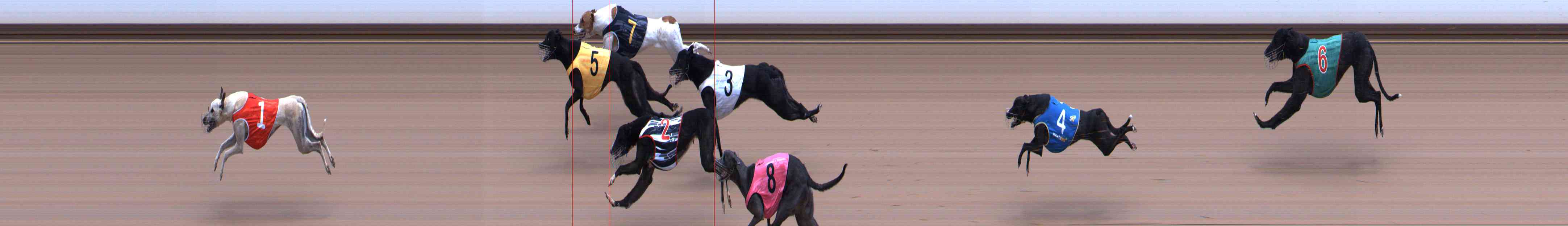 Photo finish for Healesville Race 11