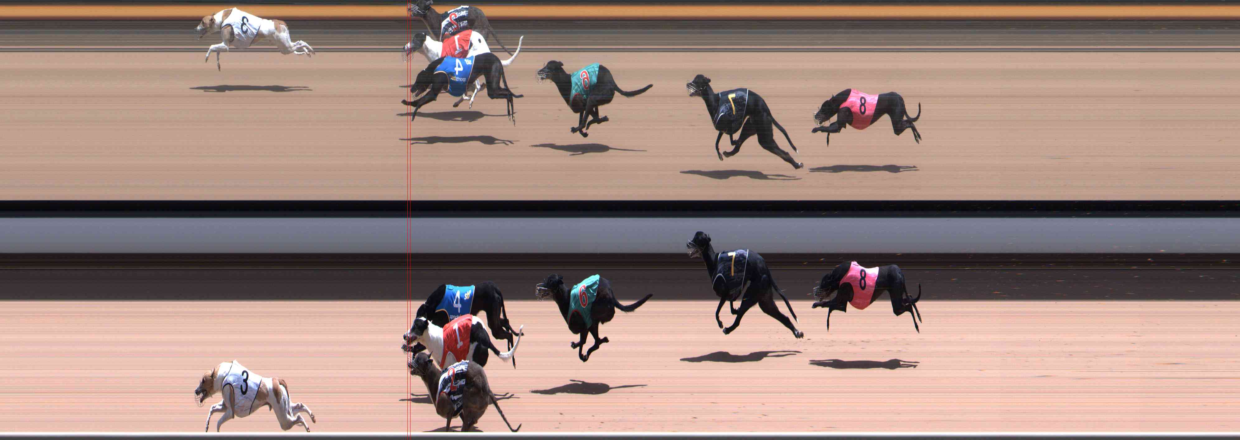 Photo finish for Healesville Race 12
