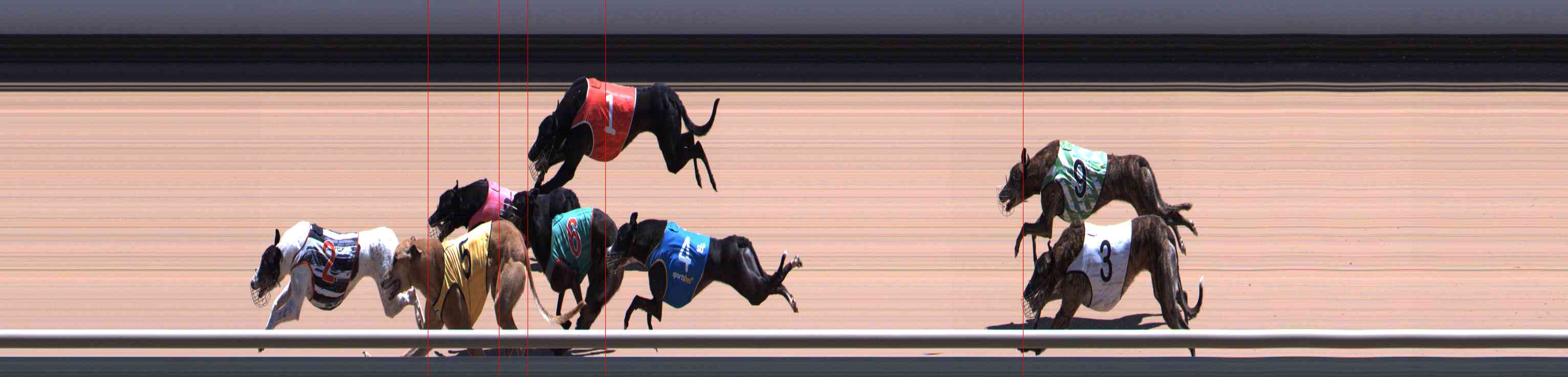 Photo finish for Healesville Race 11