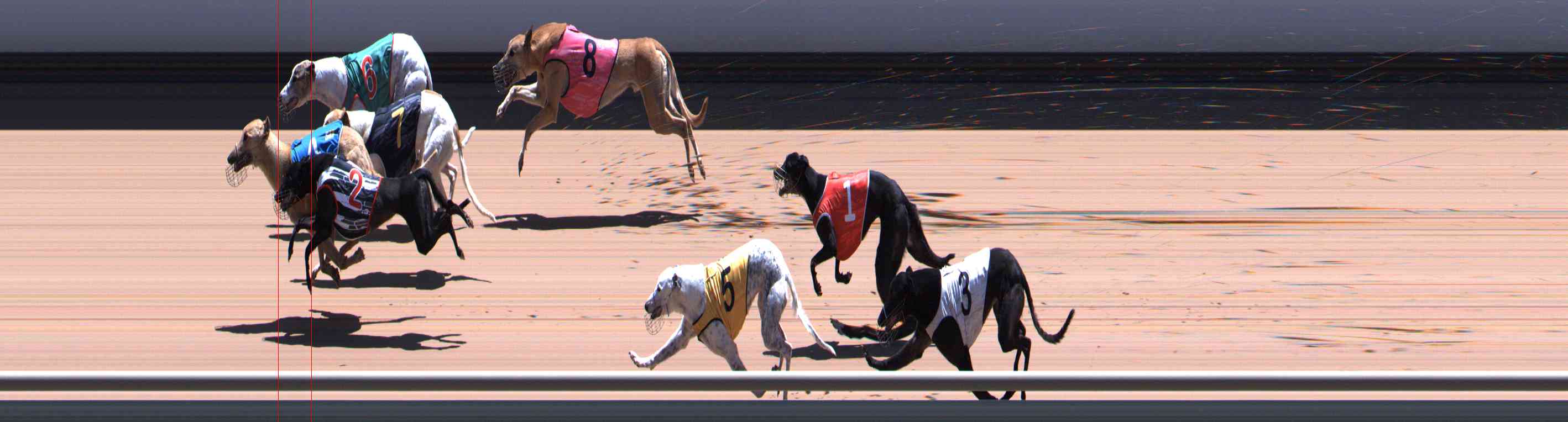 Photo finish for Healesville Race 12