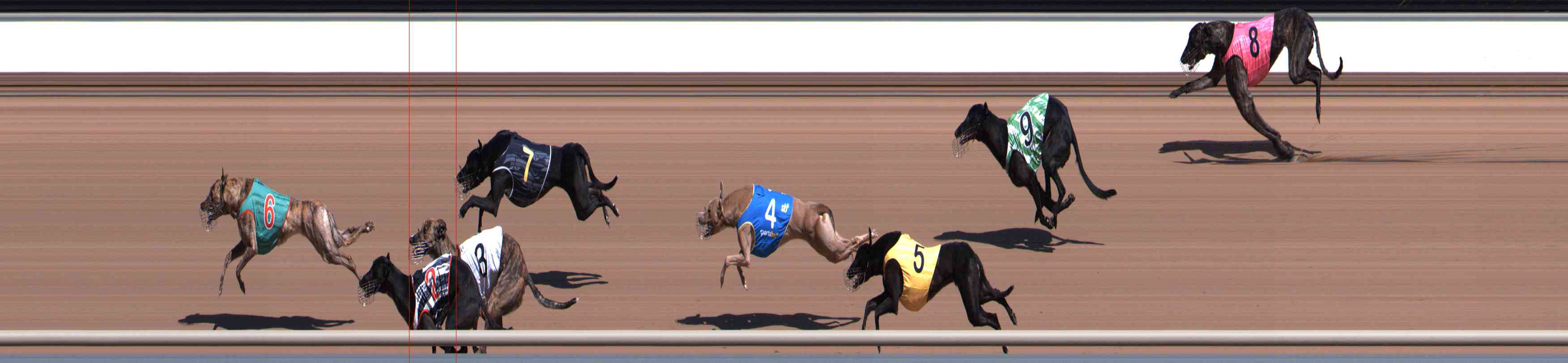Photo finish for Healesville Race 2