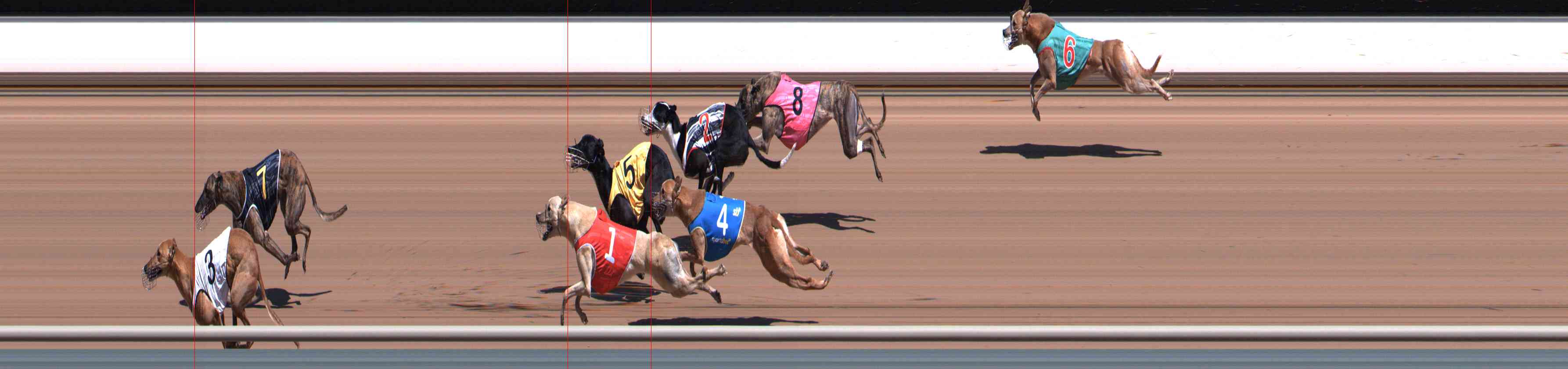 Photo finish for Healesville Race 4