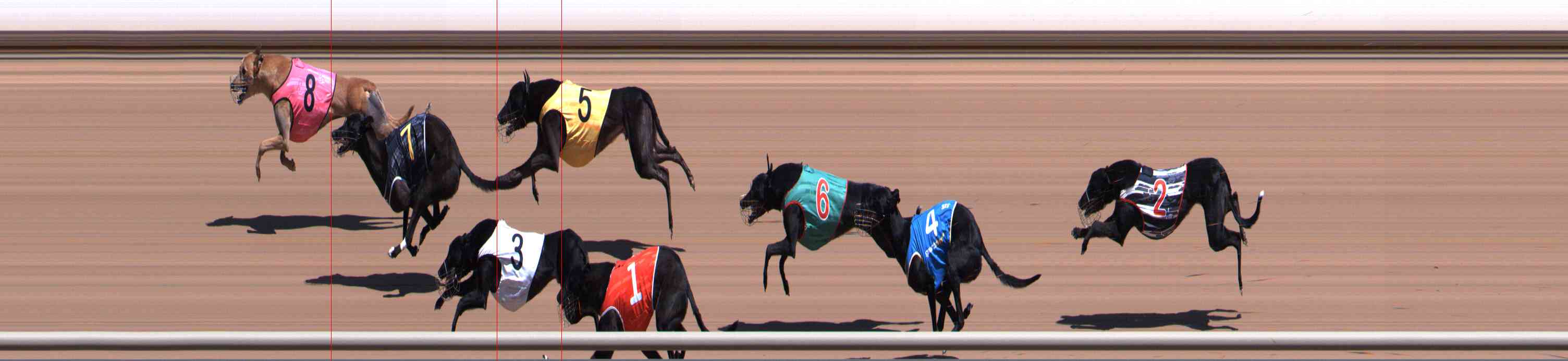 Photo finish for Healesville Race 5