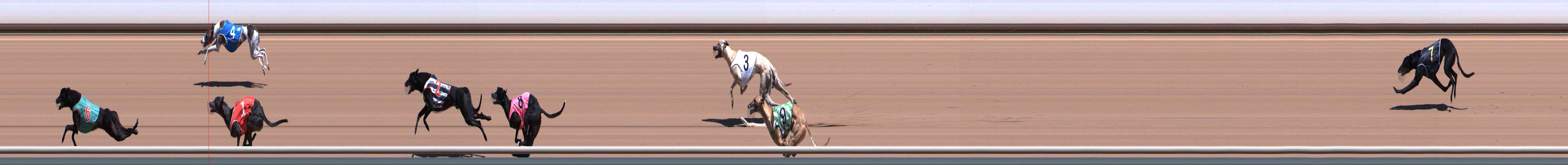 Photo finish for Healesville Race 6