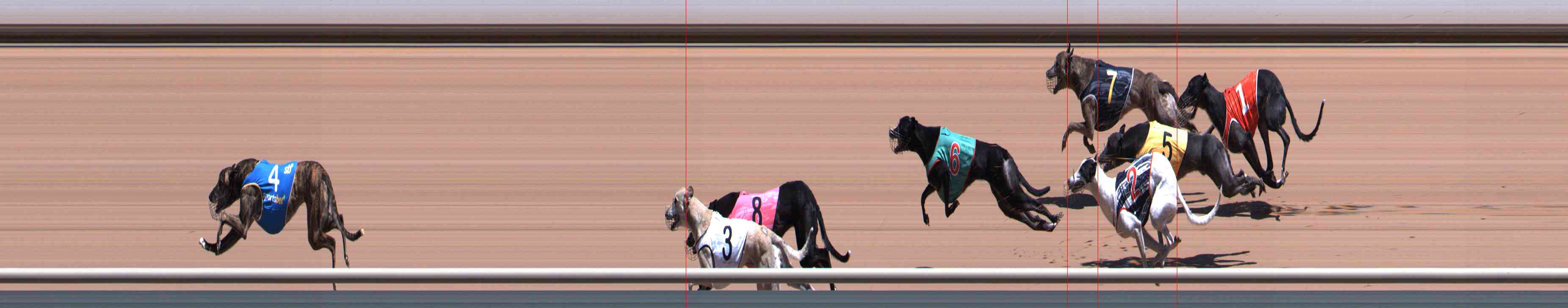 Photo finish for Healesville Race 7