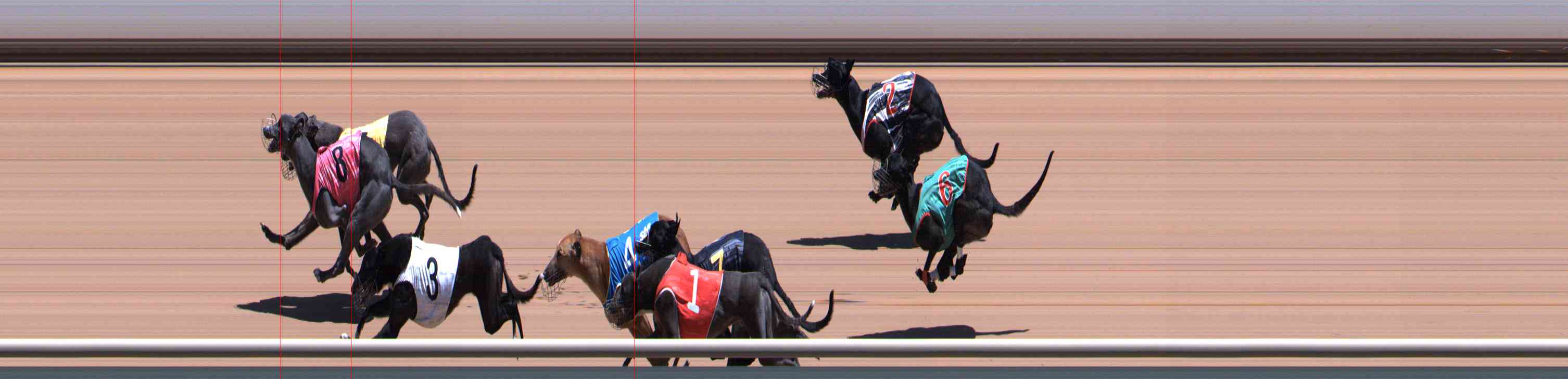Photo finish for Healesville Race 8