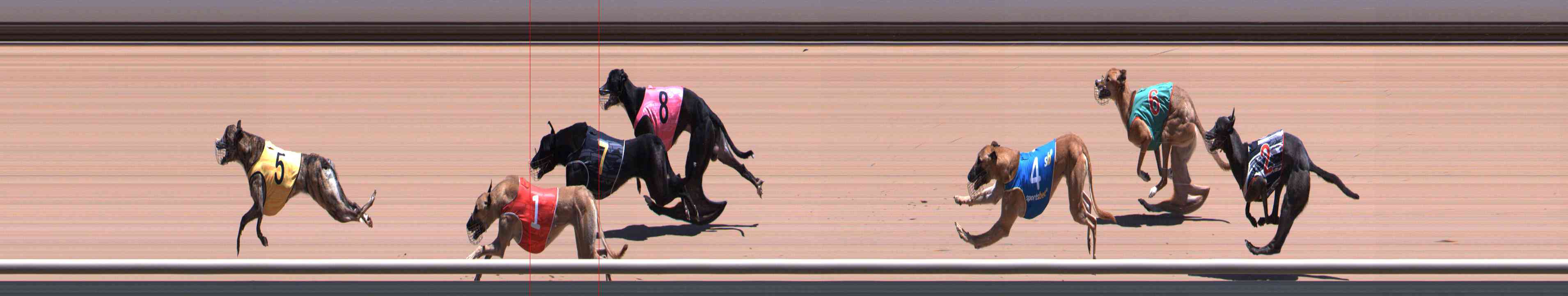 Photo finish for Healesville Race 9
