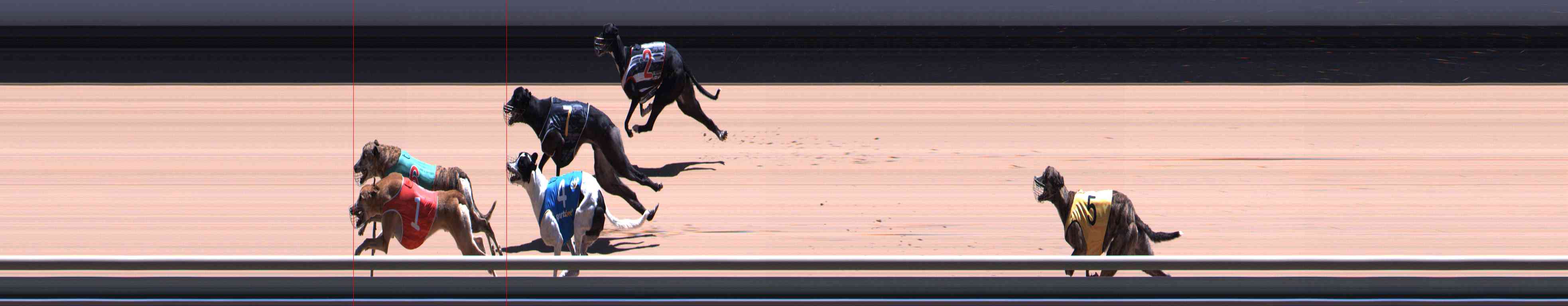 Photo finish for Healesville Race 10