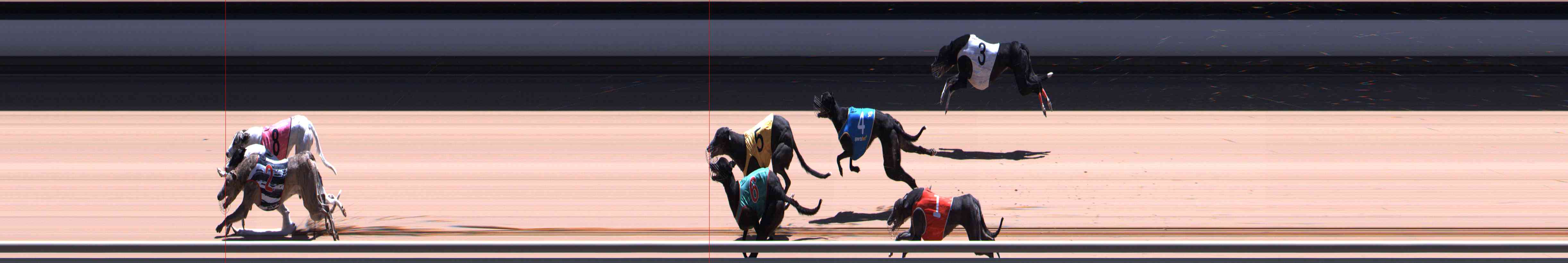 Photo finish for Healesville Race 11