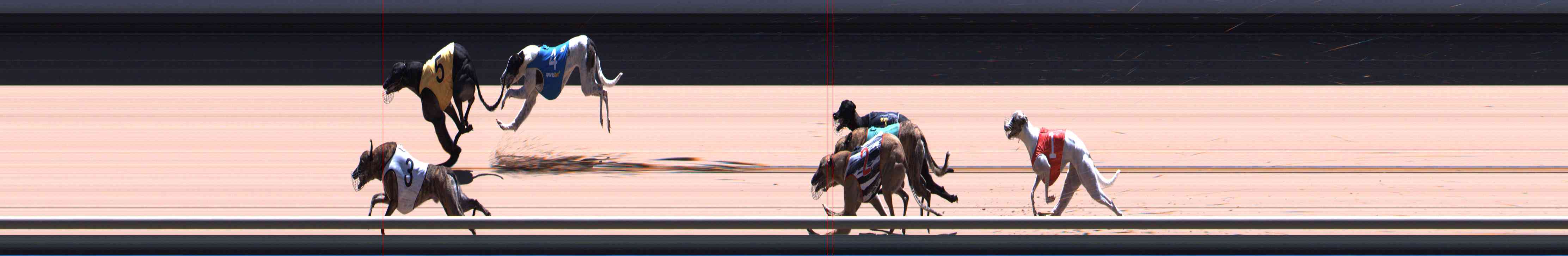 Photo finish for Healesville Race 12