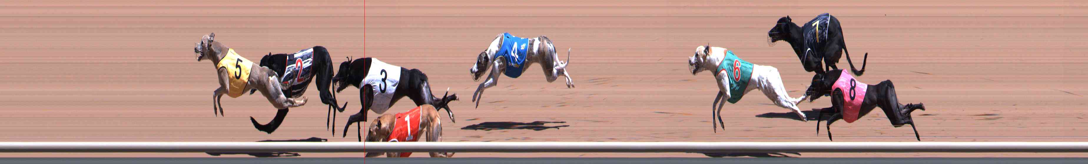 Photo finish for Healesville Race 3