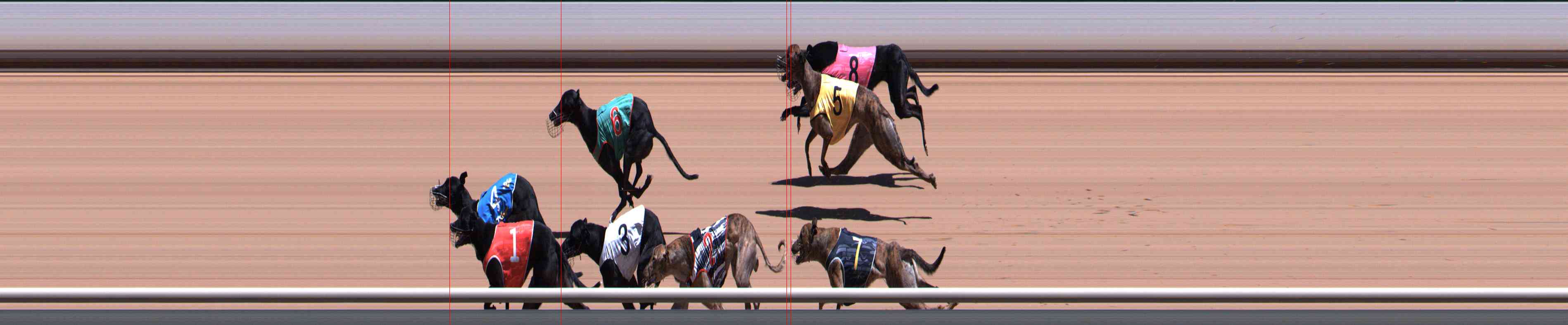 Photo finish for Healesville Race 4