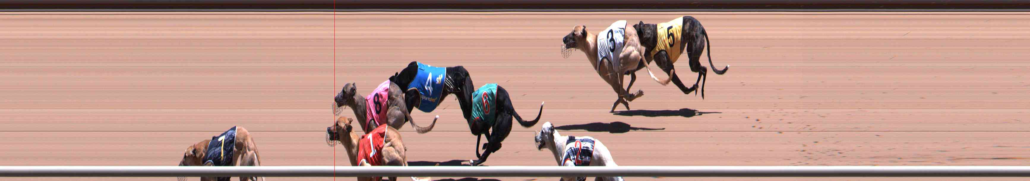 Photo finish for Healesville Race 5