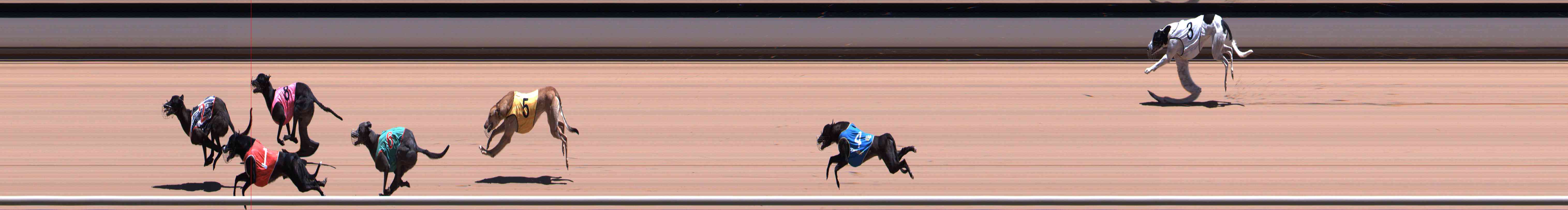Photo finish for Healesville Race 6