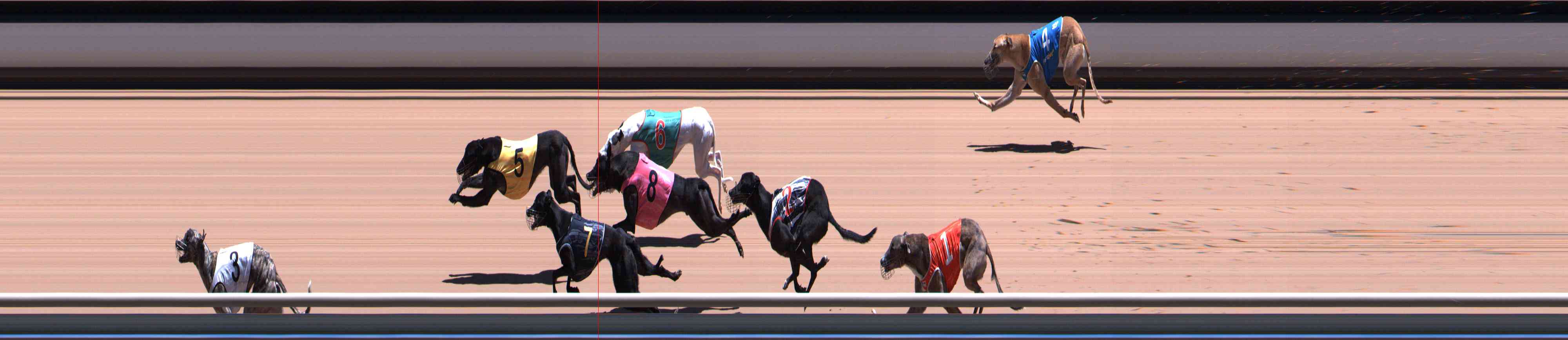 Photo finish for Healesville Race 7