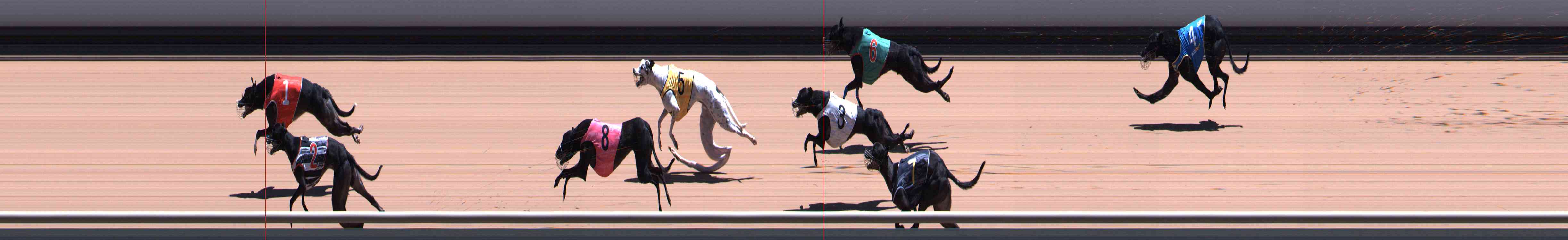 Photo finish for Healesville Race 8