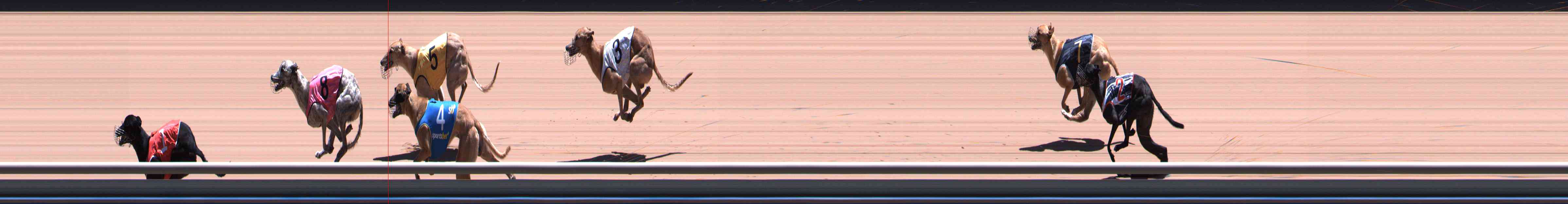 Photo finish for Healesville Race 9