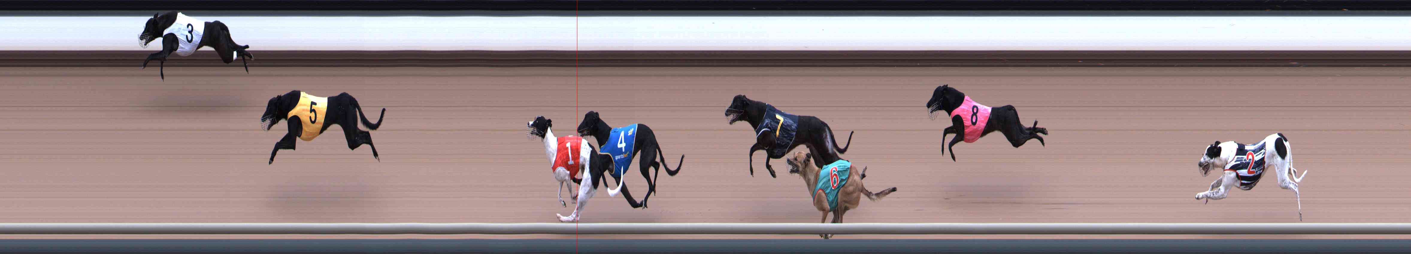 Photo finish for Healesville Race 1