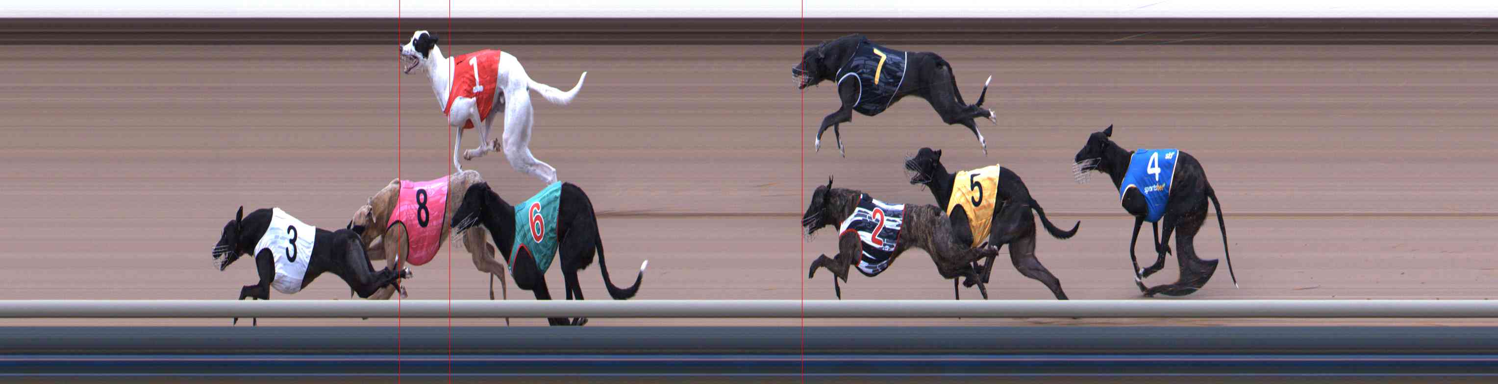 Photo finish for Healesville Race 2