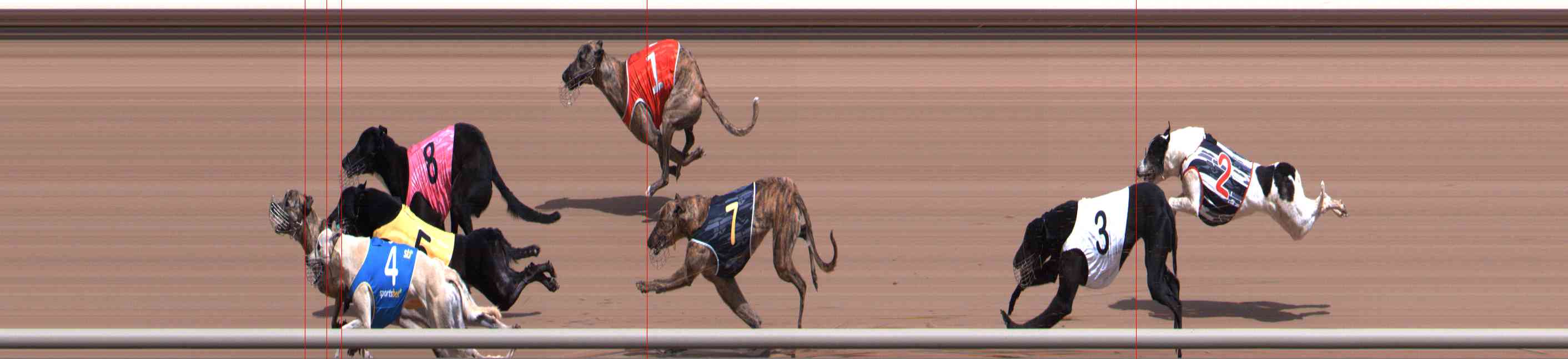 Photo finish for Healesville Race 3