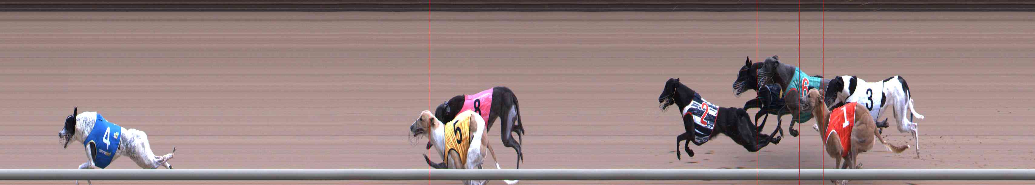 Photo finish for Healesville Race 4