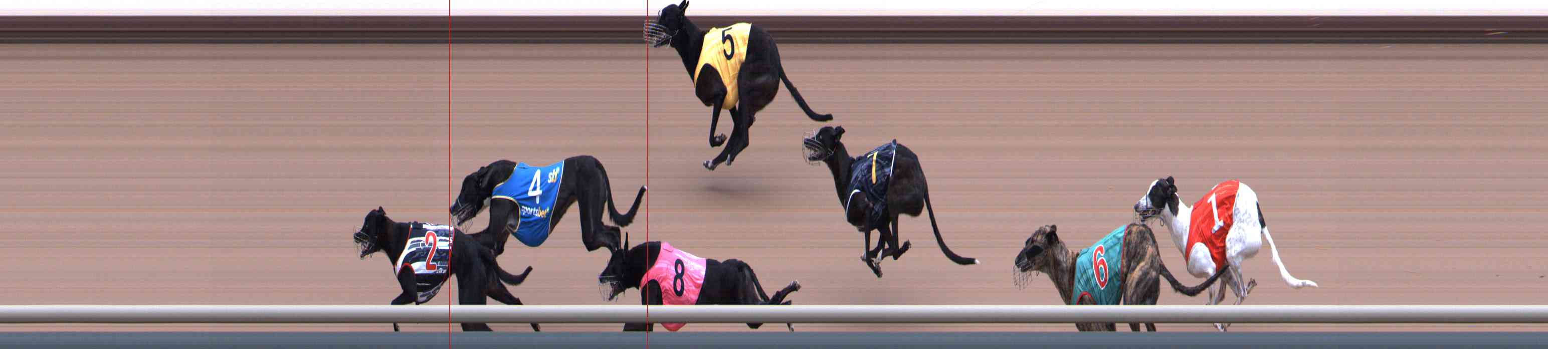 Photo finish for Healesville Race 5