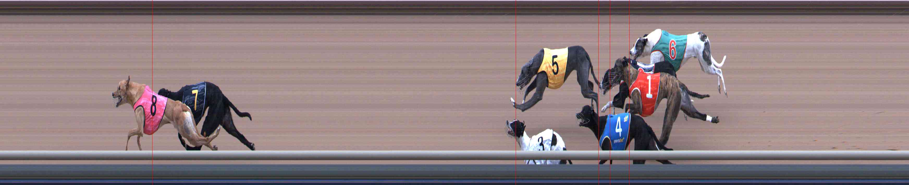 Photo finish for Healesville Race 6